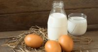 TÜİK: Süt, yumurta ve tavuk eti üretimi arttı