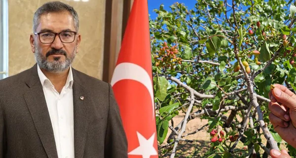 Antep Fıstığı İhracatı Altı Ayda ...