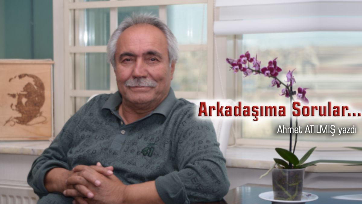 Arkadaşıma Sorular...