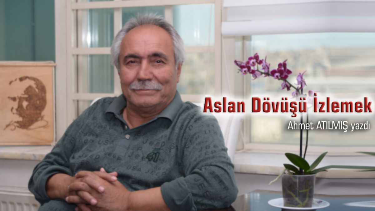 Aslan Dövüşü İzlemek