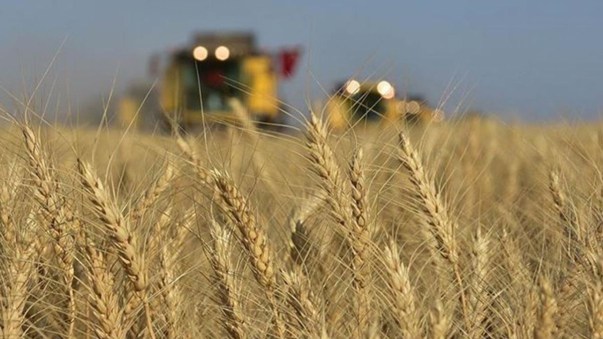 Türkiye'nin tarımsal ürün üretimindeki yeterlilik dereceleri açıklandı