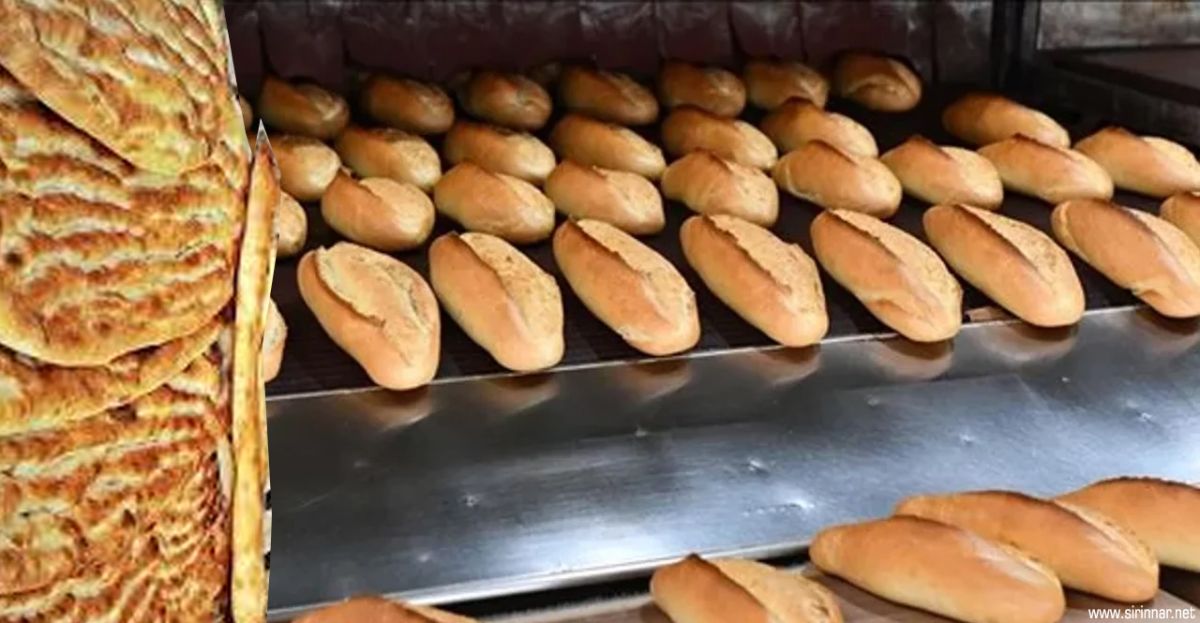 Gaziantep’te Ekmeğe Zam: İşte Yeni ...