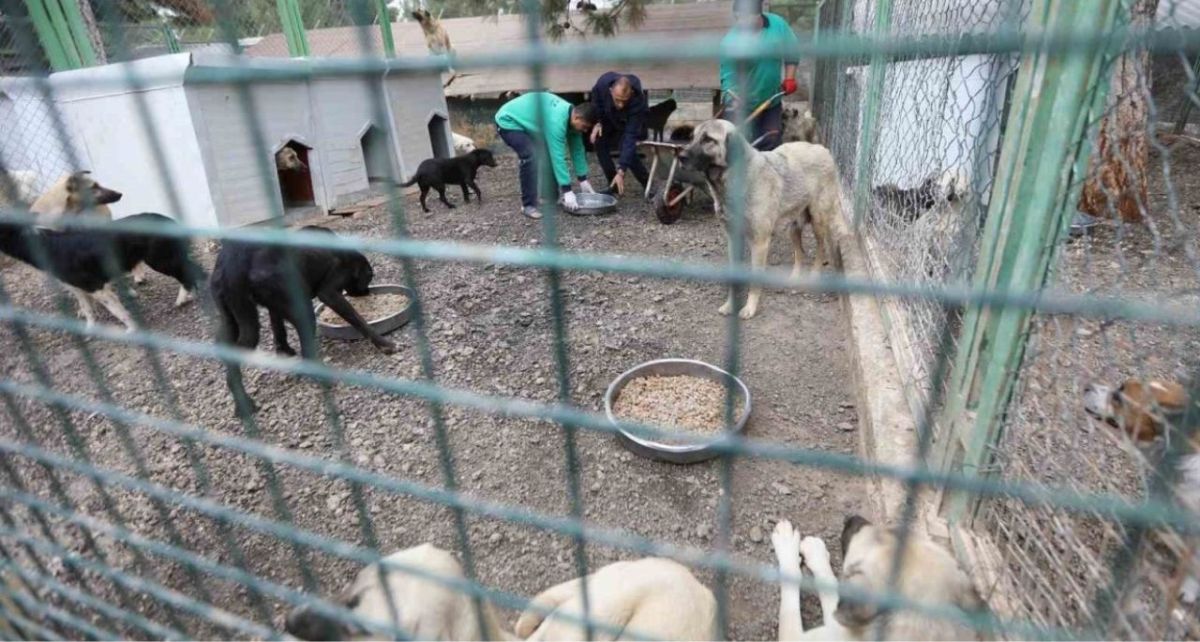 Büyükşehir Belediyesi Türkiye'ye Örnek Oluyor