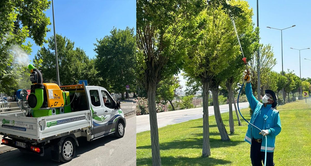 Gaziantep'te Üvez İstilasına Karşı İlaçlama Seferberliği