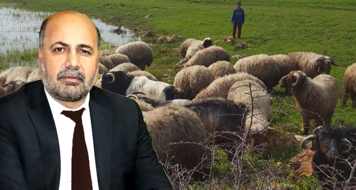 'Kırsalda Bereket' Projesiyle Küçükbaş Hayvancılığa Büyük Destek