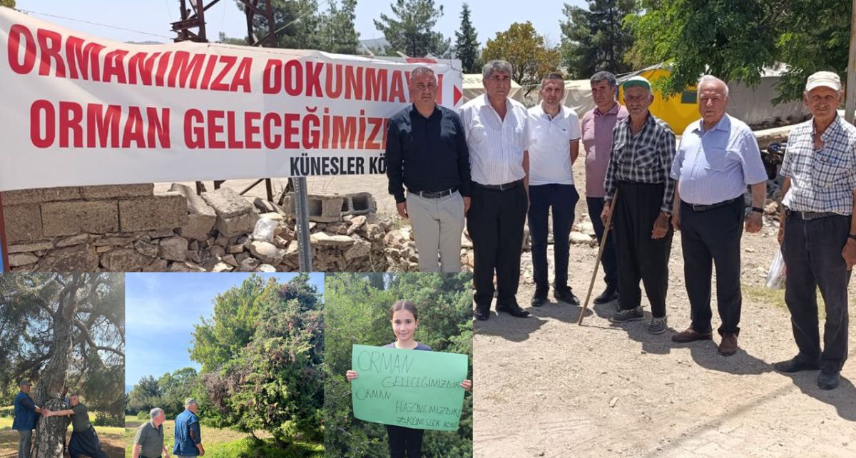 Künesler Mezrası Sakinlerinden Ormanlık Alana Yapılacak Konut Projesine Tepki