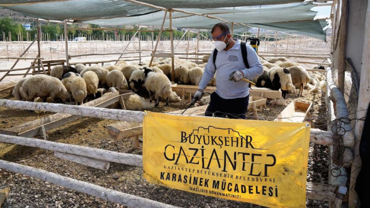 Gaziantep'te Kurban Bayramı tedbirleri araıksız devam ediyor!