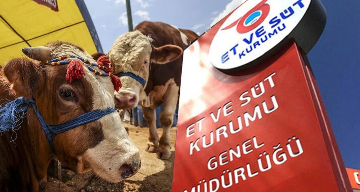 Satılamayan Kurbanlıkları Et ve Süt Kurumu Satın Alacak