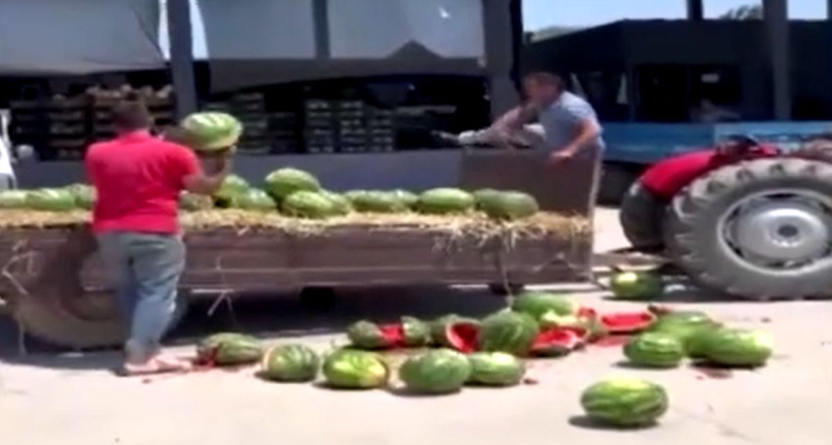 Satılmayan Karpuzları Parçaladılar: Çiftçilere Milyonluk ...