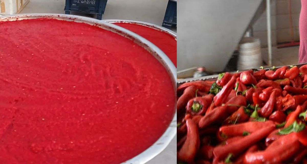 Gaziantep'te Sonbahar Rengi: Biber Salçası Mesaisi Başladı