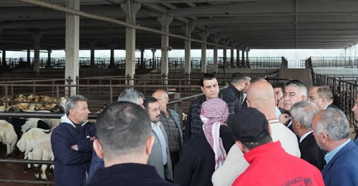 Aile Bütçesine Destek: Şehitkamil'e Et ...