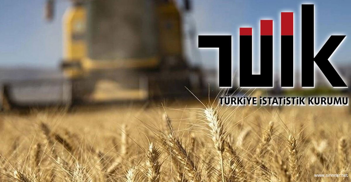 Tarımsal Girdi Maliyetleri Nisan'da Yıllık Yüzde 38,97 Arttı