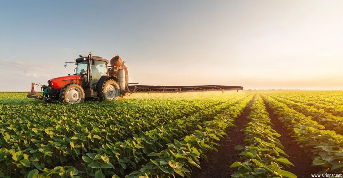 Girdi Enflasyonu Hız Kesmiyor: Yurt Dışı ÜFE ve Tarım Maliyetleri Rekor Tazeledi