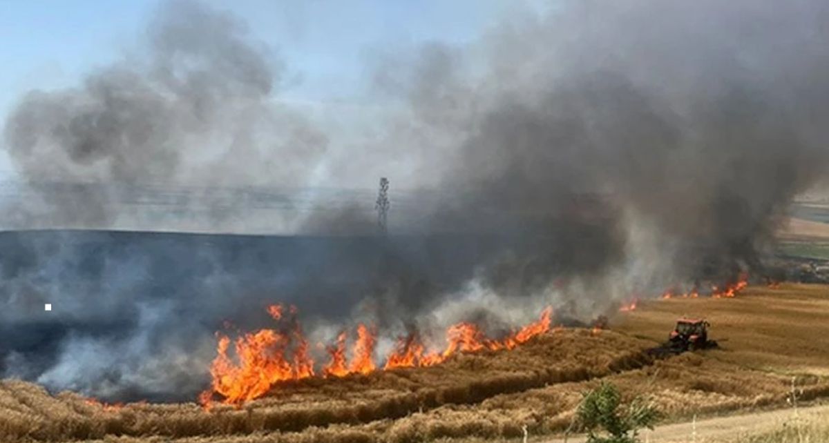 Gaziantep'in Nurdağı İlçesinde 32 Dönüm Buğday Tarlası Küle Döndü