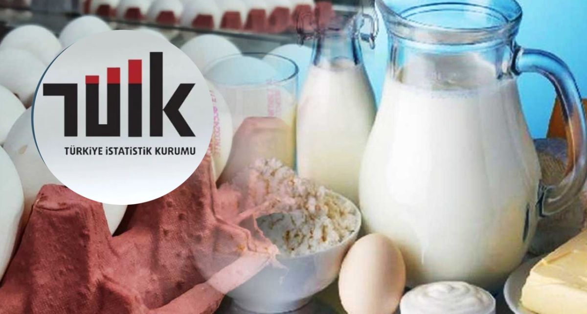 TÜİK Verileri Açıkladı:  Süt ve Tavuk Eti Üretimi Arttı