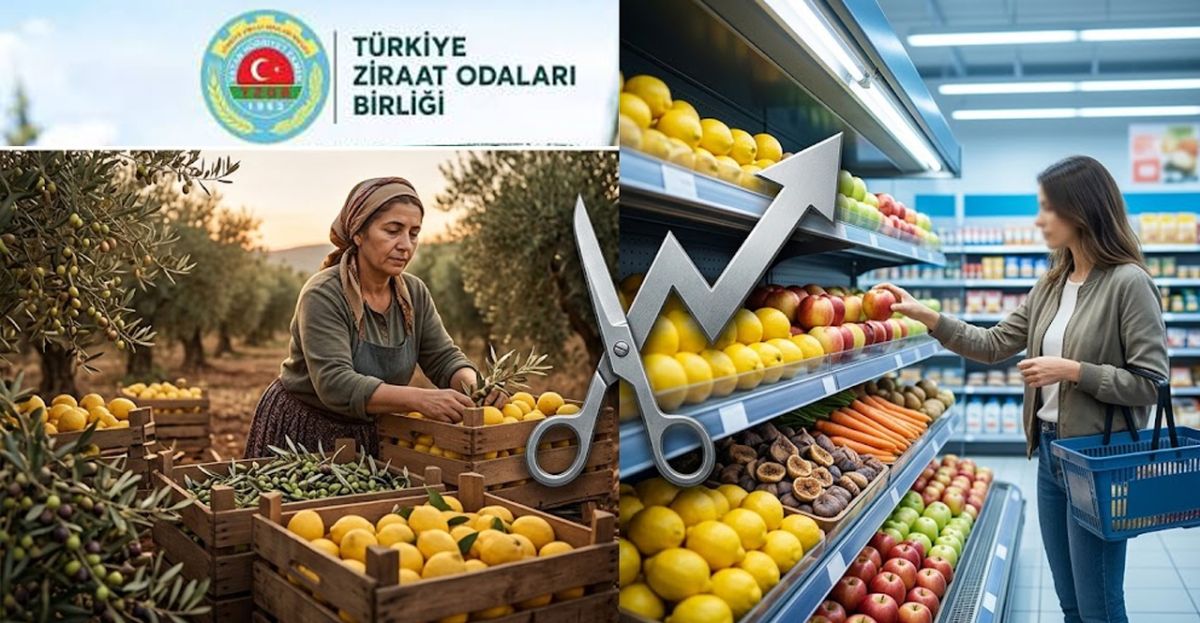 TZOB Ekim Raporu:36 Ürünün 25’inde Market Fiyatı Arttı