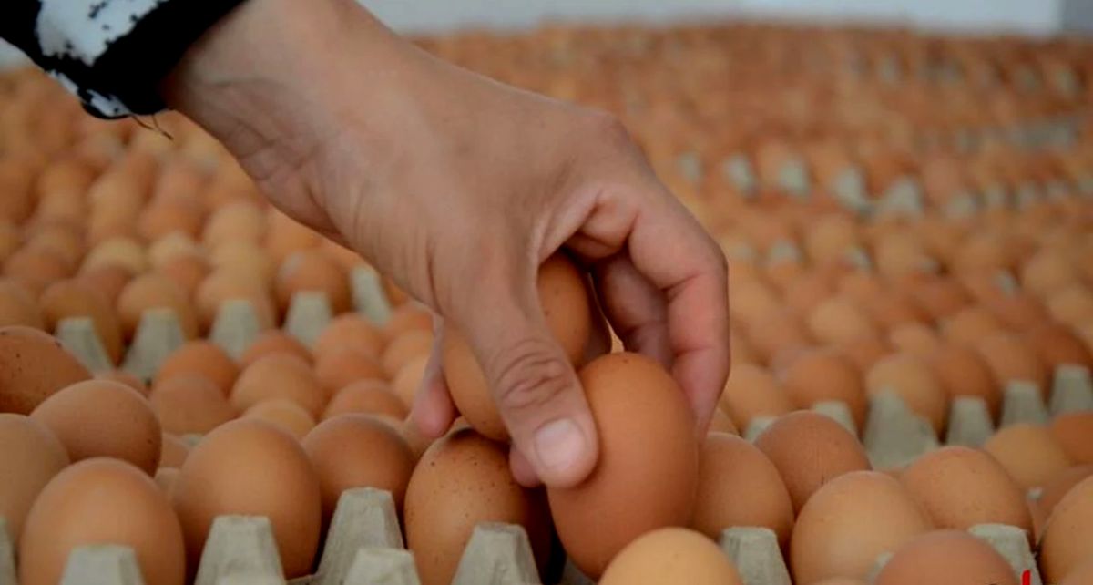 Market Raflarından Kahverengi Yumurtalar Çekiliyor: İşte Nedeni