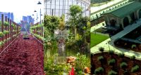 Geleceğin Tarımı Şehitkamil’de Agro Park’ta Öğreniliyor