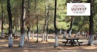 Gaziantep'te Ormanlık alanlara girişler yasaklandı!