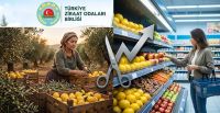 TZOB Ekim Raporu:36 Ürünün 25’inde Market Fiyatı Arttı