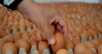 Market Raflarından Kahverengi Yumurtalar Çekiliyor: İşte Nedeni