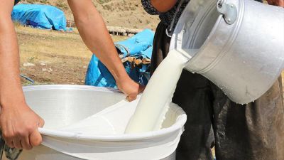 Gaziantep 'te Çiğ Süt 'ün Fiyatı Ne Kadar Oldu ?