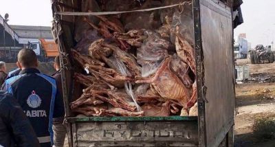 Gaziantep’te Kamyonetten 1 Ton 900 Kilo Bozuk Et Çıktı!