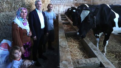 Şahinbey Belediyesi'nden hayvan yetiştiricilerine destek