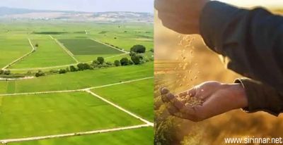 Gaziantep’te Son 80 Yılın Yağış Ortalamasına Ulaşıldı: Rekolte Rekoru Bekleniyor