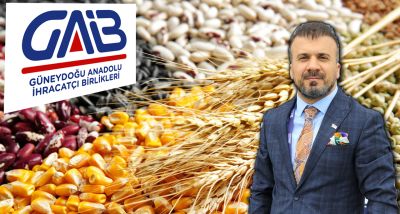 Güneydoğu Anadolu'nun Hububat İhracatı 2025'te 3,6 Milyar Dolar Oldu