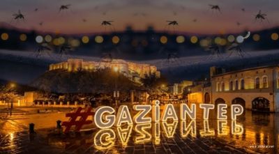 Gaziantep'te Sivrisinek İstilası ve Bunaltıcı Sıcaklar Vatandaşı Zorluyor