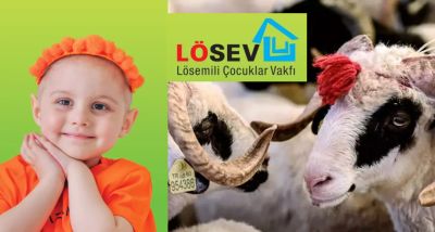 LÖSEV'den Anlamlı Kurban Kampanyası: 'Her Kurban Lösemili Çocuklara Can Oluyor'