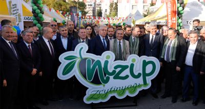 Nizip Zeytin Festivali Coşkusu Sembolik Zeytin Sıkımıyla Başladı