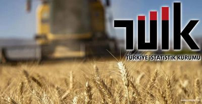 Tarımsal Girdi Maliyetleri Nisan'da Yıllık Yüzde 38,97 Arttı